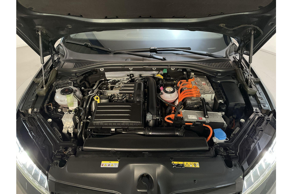 48959492-16.jpg