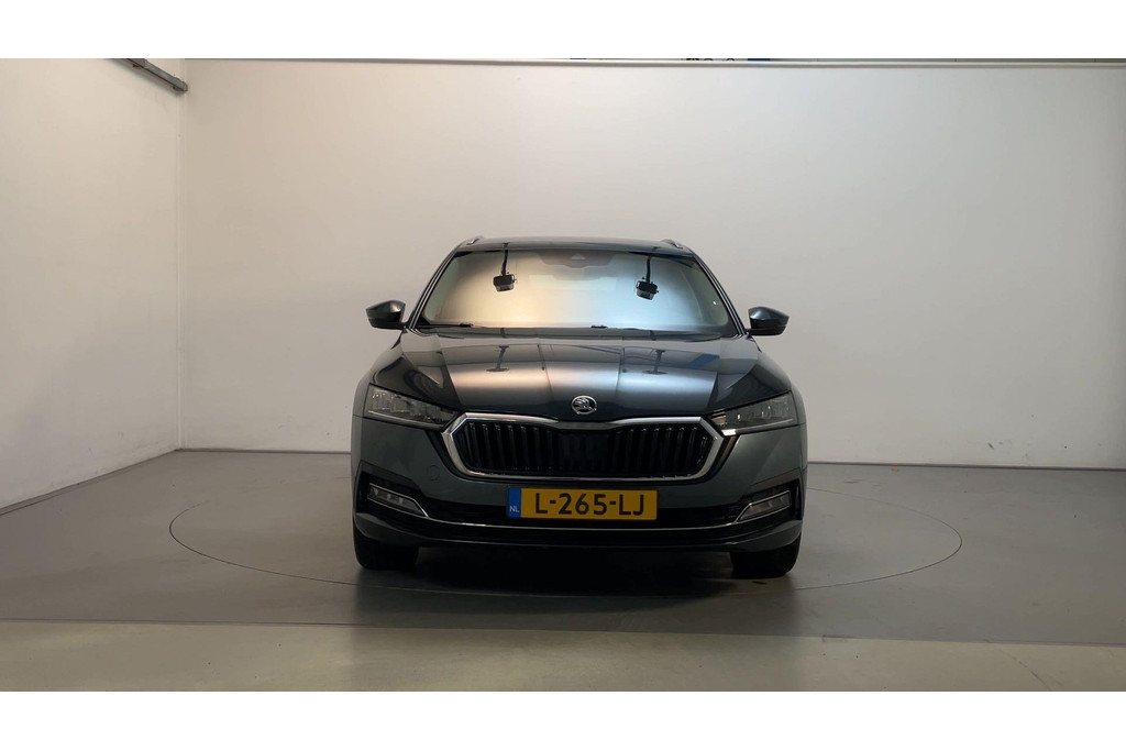 49521576-13.jpg