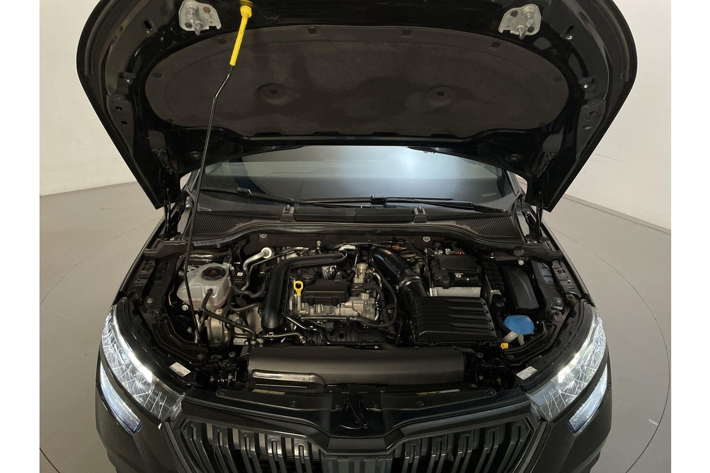 51441169-15.jpg