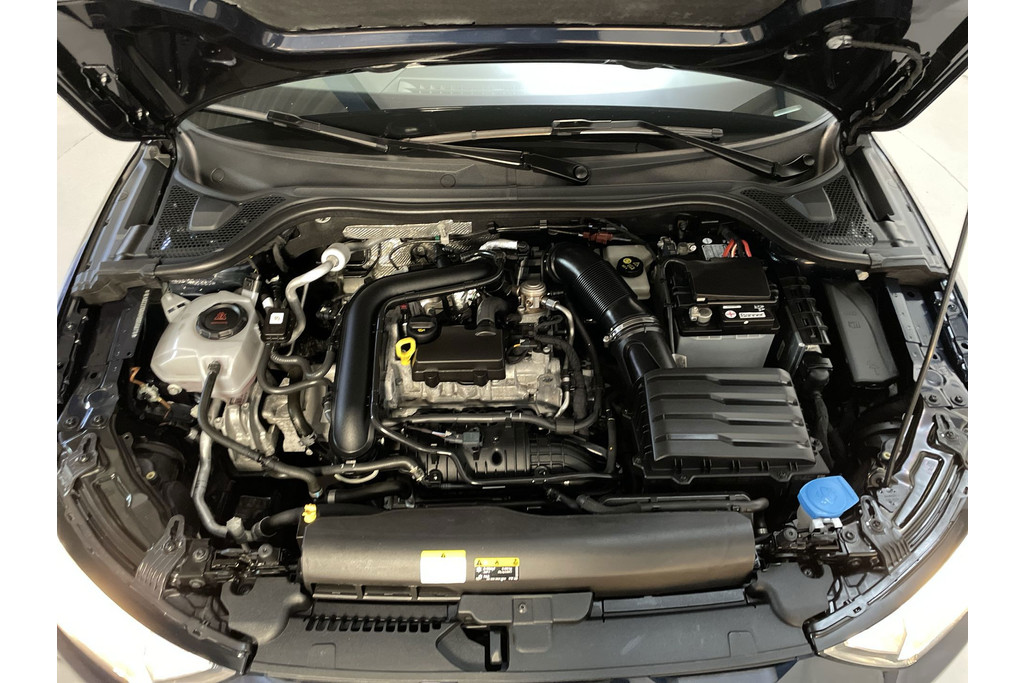 52097395-16.jpg