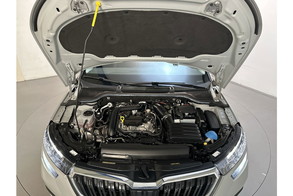 53392903-16.jpg