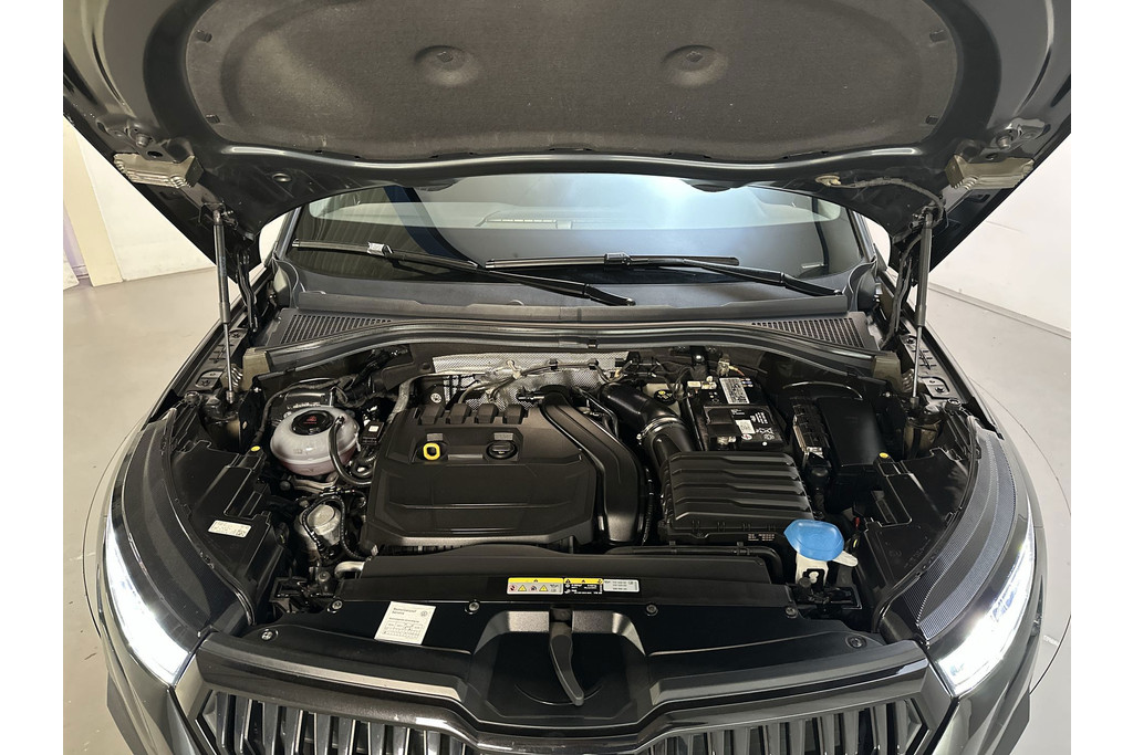 53545008-13.jpg