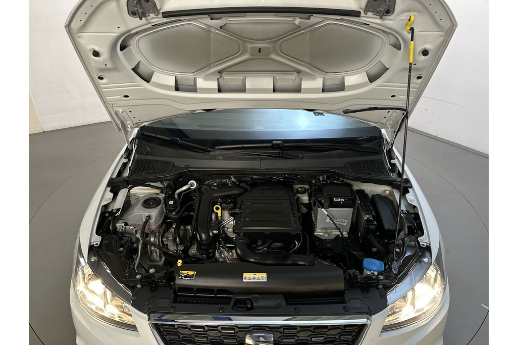 53590895-16.jpg