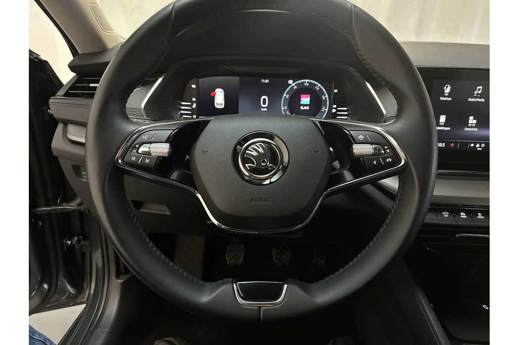 53955116-4.jpg