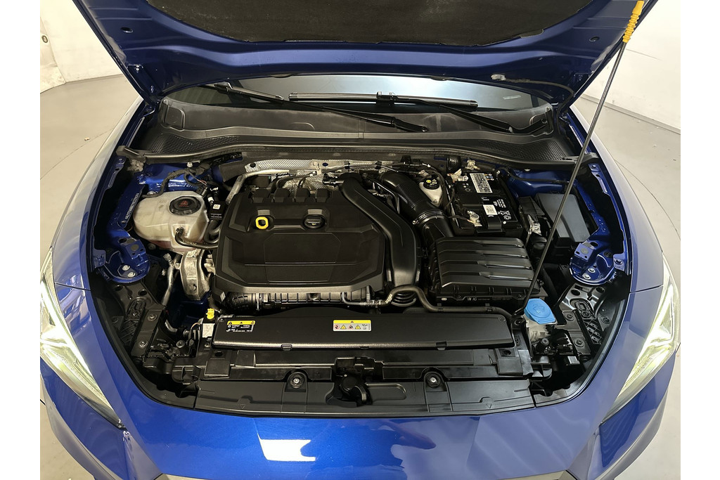 53985864-16.jpg