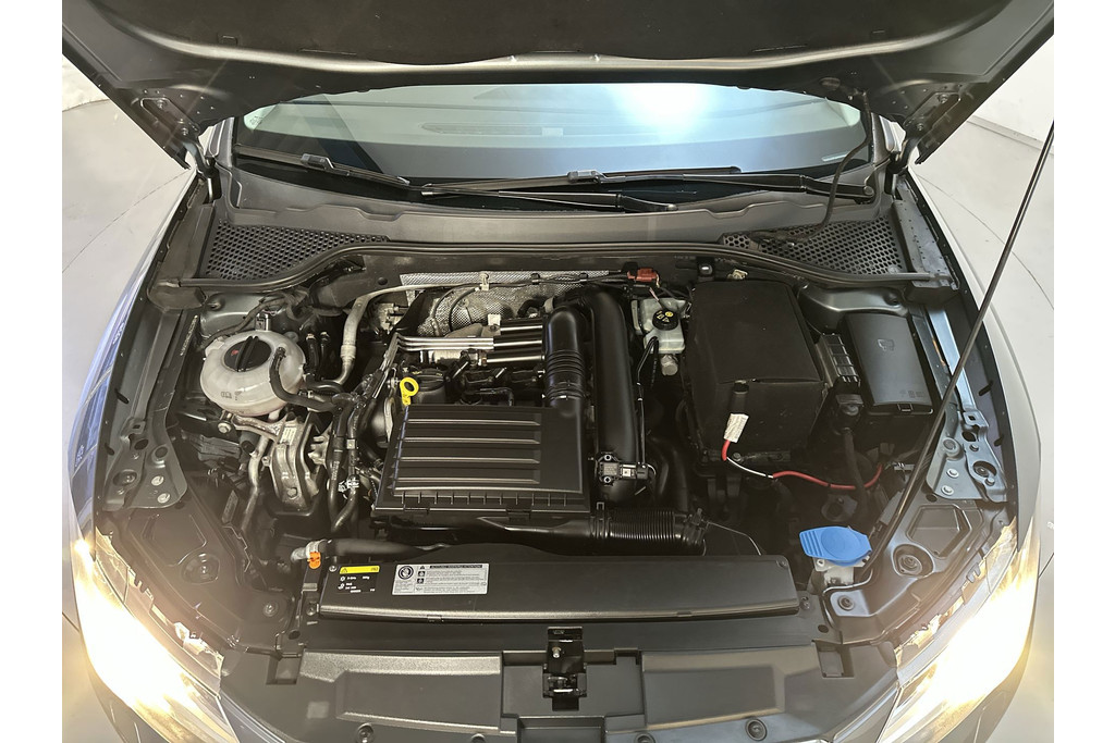 54388256-17.jpg