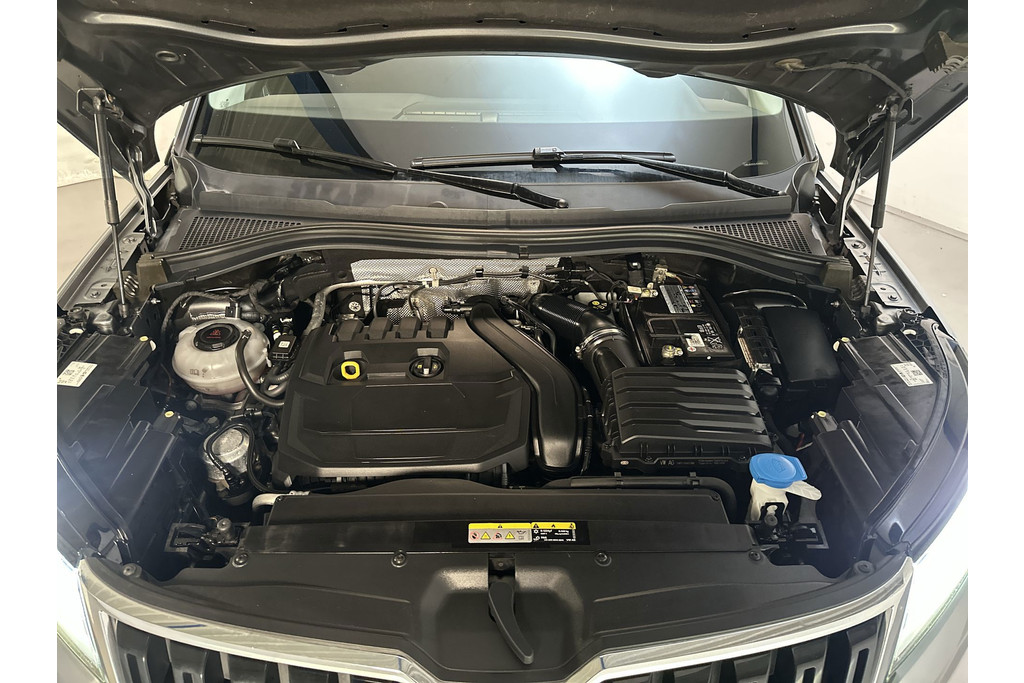 54497186-15.jpg