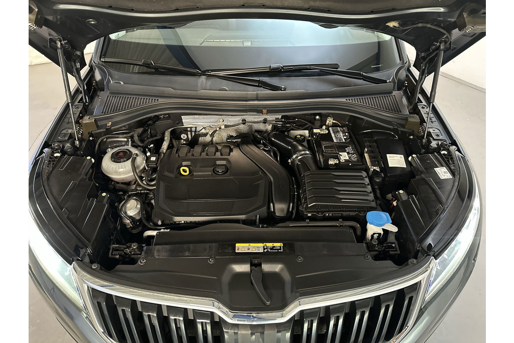 54751071-12.jpg