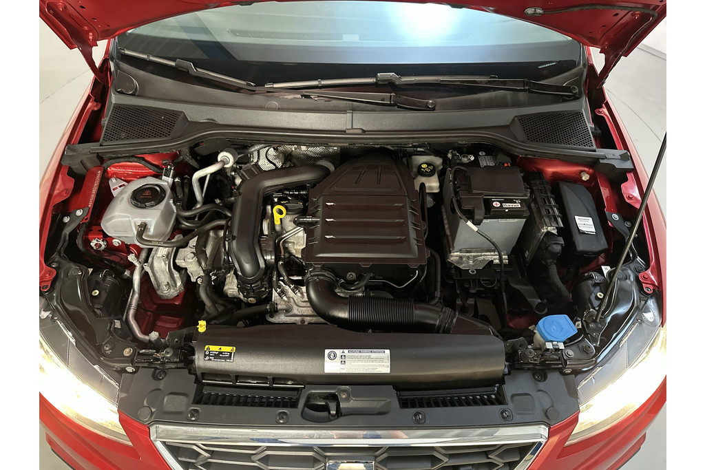 54872941-16.jpg