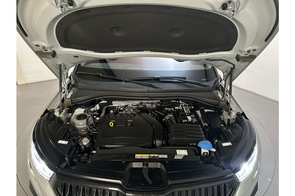 55020160-16.jpg