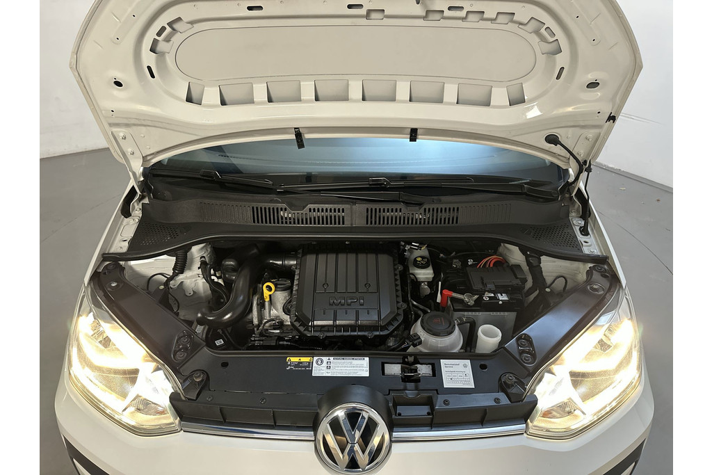 55055917-8.jpg
