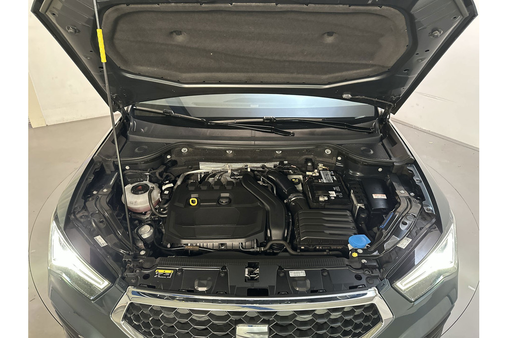 55106291-16.jpg