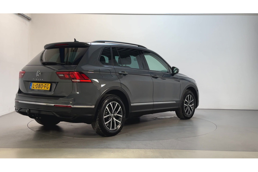 55385847-2.jpg
