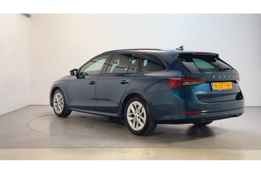 55509822-5.jpg