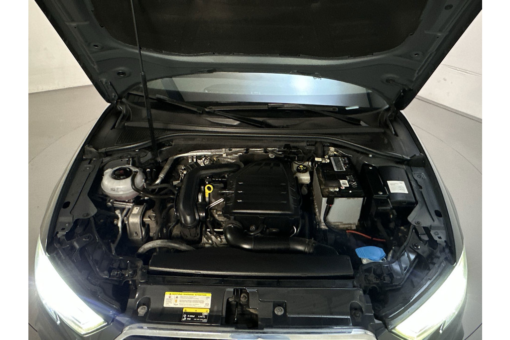 55545773-16.jpg