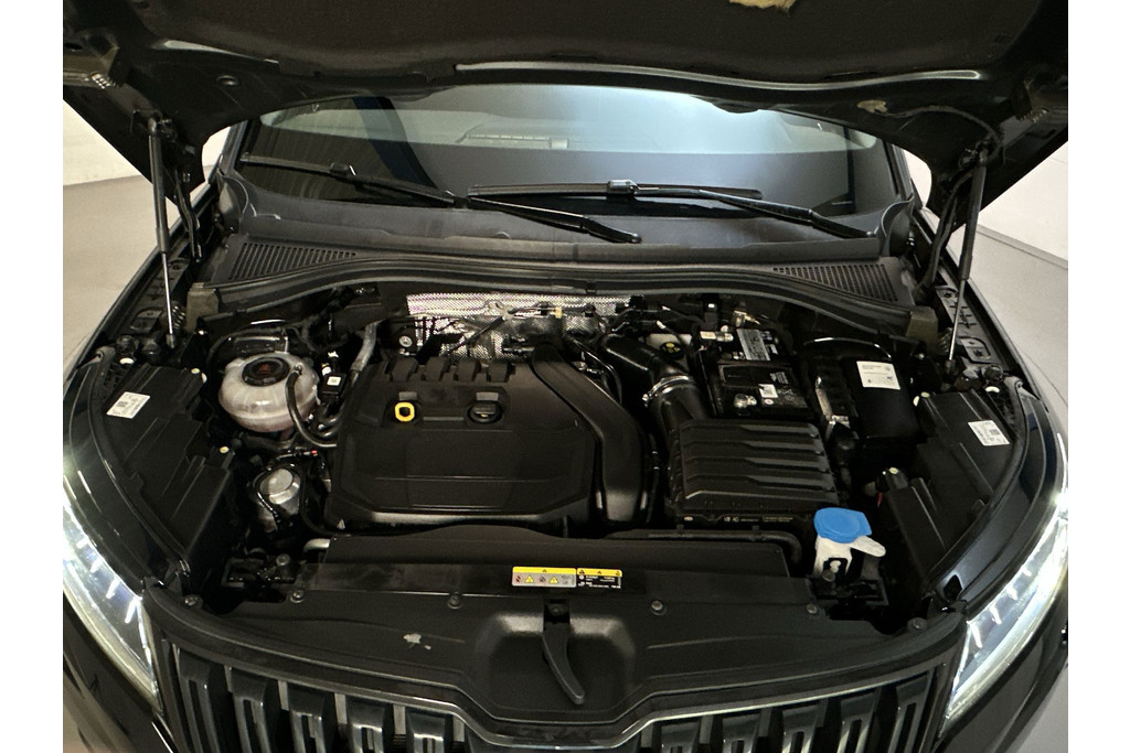 55587844-14.jpg