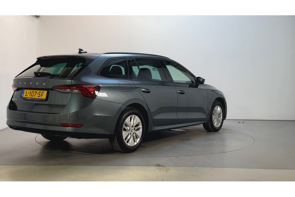 55590773-2.jpg