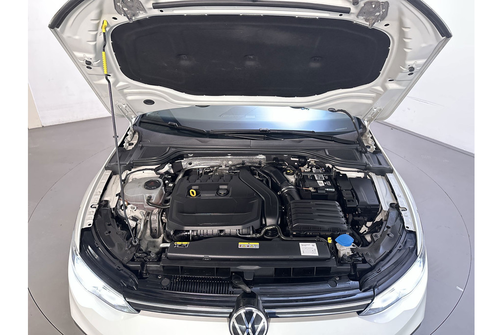 55895927-17.jpg