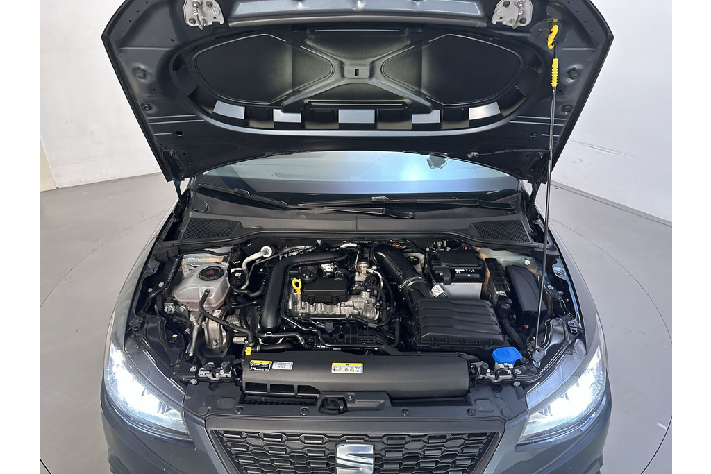 55992994-16.jpg