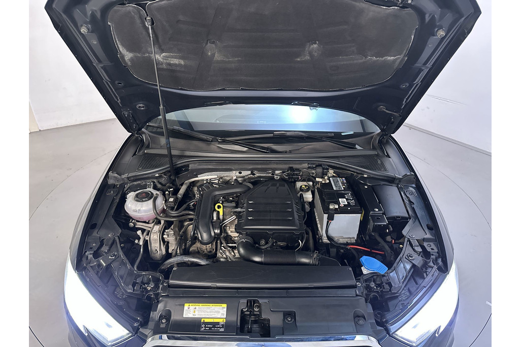 56249282-16.jpg