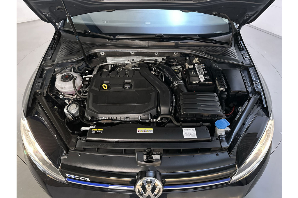 56367602-12.jpg