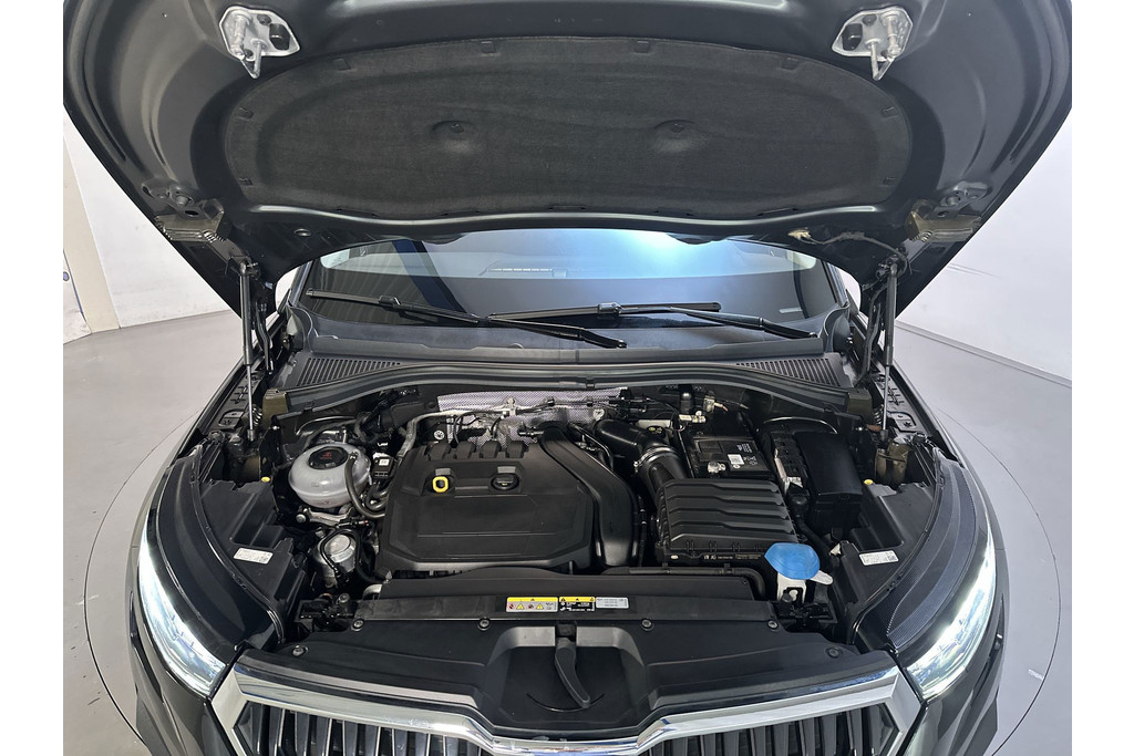 56785786-15.jpg