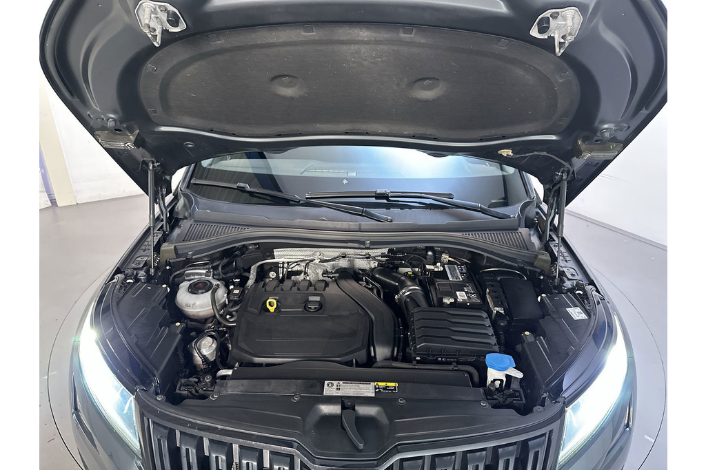 56830065-16.jpg