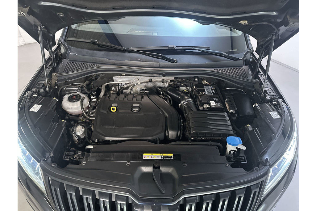 56853512-13.jpg