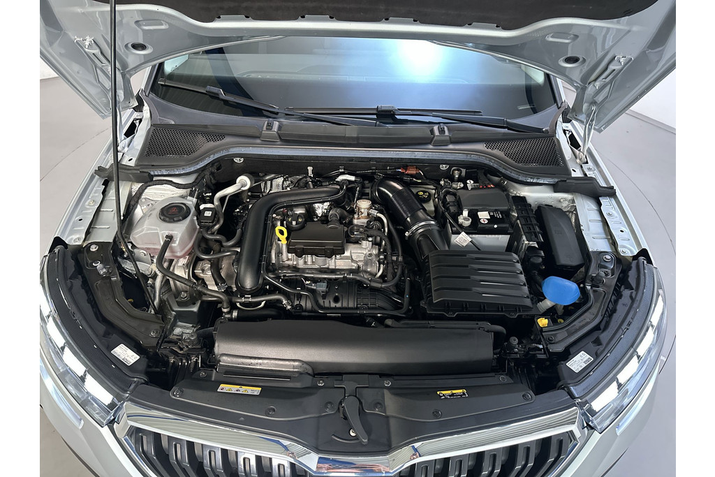 56891613-16.jpg
